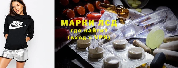 a pvp Аркадак