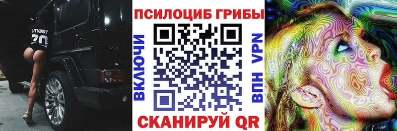 Галлюциногенные грибы Psilocybe  Купить закладки  Строитель 